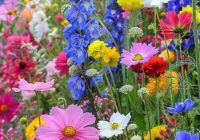 Risale Dersi 2003: Muhakemat 60 Risale Dersi 2003: Muhakemat 60