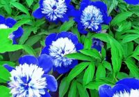 Risale Dersi 2000: Muhakemat 57 Risale Dersi 2000: Muhakemat 57