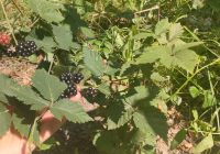 Risale Dersi 2026: Muhakemat 83 Risale Dersi 2026: Muhakemat 83