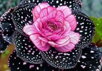 Risale Dersi 2025: Muhakemat 82 Risale Dersi 2025: Muhakemat 82