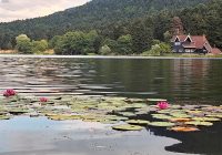 Risale Dersi 2040: Muhakemat 97 Risale Dersi 2040: Muhakemat 97