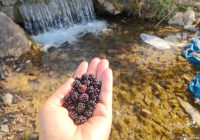 Risale Dersi 2027: Muhakemat 84 Risale Dersi 2027: Muhakemat 84