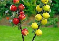 Risale Dersi 2060: Emirdağ Lahikası 6(6.mektup) Risale Dersi 2060: Emirdağ Lahikası 6(6.mektup)