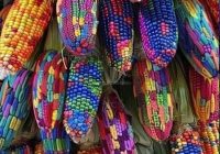 Risale Dersi 2083: Emirdağ Lahikası 29(38-39-40.mektup) Risale Dersi 2083: Emirdağ Lahikası 29(38-39-40.mektup)