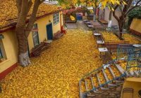 Risale Dersi 2072: Emirdağ Lahikası 18(24.mektup) Risale Dersi 2072: Emirdağ Lahikası 18(24.mektup)