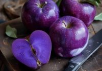 Risale Dersi 2077: Emirdağ Lahikası 23(31.mektup) Risale Dersi 2077: Emirdağ Lahikası 23(31.mektup)