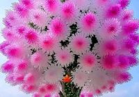 Risale Dersi 2081: Emirdağ Lahikası 27(36.mektup) Risale Dersi 2081: Emirdağ Lahikası 27(36.mektup)