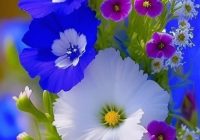 Risale Dersi 2066: Emirdağ Lahikası 12(15.mektup) Risale Dersi 2066: Emirdağ Lahikası 12(15.mektup)