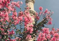 Risale Dersi 2076: Emirdağ Lahikası 22(30.mektup) Risale Dersi 2076: Emirdağ Lahikası 22(30.mektup)