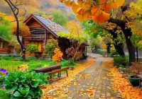 Risale Dersi 2099: Emirdağ Lahikası 45(62.mektup) Risale Dersi 2099: Emirdağ Lahikası 45(62.mektup)