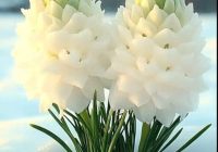 Risale Dersi 2092: Emirdağ Lahikası 38(52.mektup) Risale Dersi 2092: Emirdağ Lahikası 38(52.mektup)