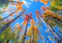 Risale Dersi 2094: Emirdağ Lahikası 40(53.mektup) Risale Dersi 2094: Emirdağ Lahikası 40(53.mektup)