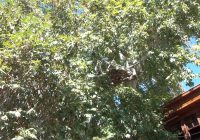 Risale Dersi 2127: Emirdağ Lahikası 73(118-119-120-121-122-123.mektup) Risale Dersi 2127: Emirdağ Lahikası 73(118-119-120-121-122-123.mektup)