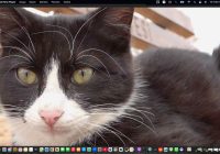 Risale Dersi 2122: Emirdağ Lahikası 68(106.mektup) Risale Dersi 2122: Emirdağ Lahikası 68(106.mektup)