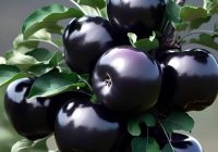 Risale Dersi 2129: Emirdağ Lahikası 75(126-127-128-129.mektup) Risale Dersi 2129: Emirdağ Lahikası 75(126-127-128-129.mektup)