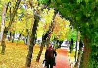 Risale Dersi 2151: Emirdağ Lahikası 97(163-164-165.mektup) Risale Dersi 2151: Emirdağ Lahikası 97(163-164-165.mektup)