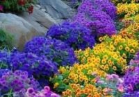 Risale Dersi 2145: Emirdağ Lahikası 91(154-155-156-157-158.mektup) Risale Dersi 2145: Emirdağ Lahikası 91(154-155-156-157-158.mektup)