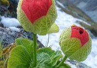 Risale Dersi 2141: Emirdağ Lahikası 87(151.mektup) Risale Dersi 2141: Emirdağ Lahikası 87(151.mektup)