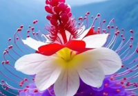 Risale Dersi 2143: Emirdağ Lahikası 89(152.mektup) Risale Dersi 2143: Emirdağ Lahikası 89(152.mektup)