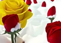 Risale Dersi 2167: Emirdağ Lahikası 113(191.mektup) Risale Dersi 2167: Emirdağ Lahikası 113(191.mektup)