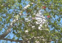 Risale Dersi 2160: Emirdağ Lahikası 106(179-180-181.mektup) Risale Dersi 2160: Emirdağ Lahikası 106(179-180-181.mektup)