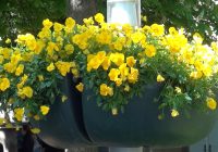 Risale Dersi 2157: Emirdağ Lahikası 103(172.mektup) Risale Dersi 2157: Emirdağ Lahikası 103(172.mektup)