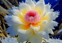 Risale Dersi 2158: Emirdağ Lahikası 104(173-174-175.mektup) Risale Dersi 2158: Emirdağ Lahikası 104(173-174-175.mektup)