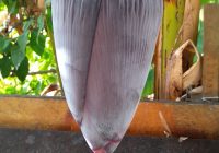 Risale Dersi 2161: Emirdağ Lahikası 107(182-183-284.mektup) Risale Dersi 2161: Emirdağ Lahikası 107(182-183-284.mektup)